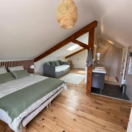 Au Coeur Des Gorges De La Loire Aurec-Sur-Loire